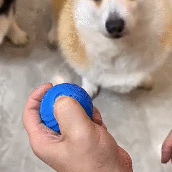 PELOTA JUGUETE INTERACTIVA PARA GATOS