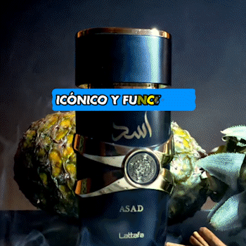 COMBO ASAD + ROLEX PLATA + GAFAS RAYBAN
