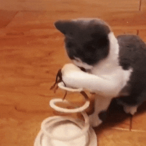 JUGUETE INTERACTIVO PARA GATOS