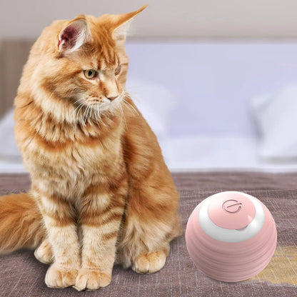 PELOTA JUGUETE INTERACTIVA PARA GATOS